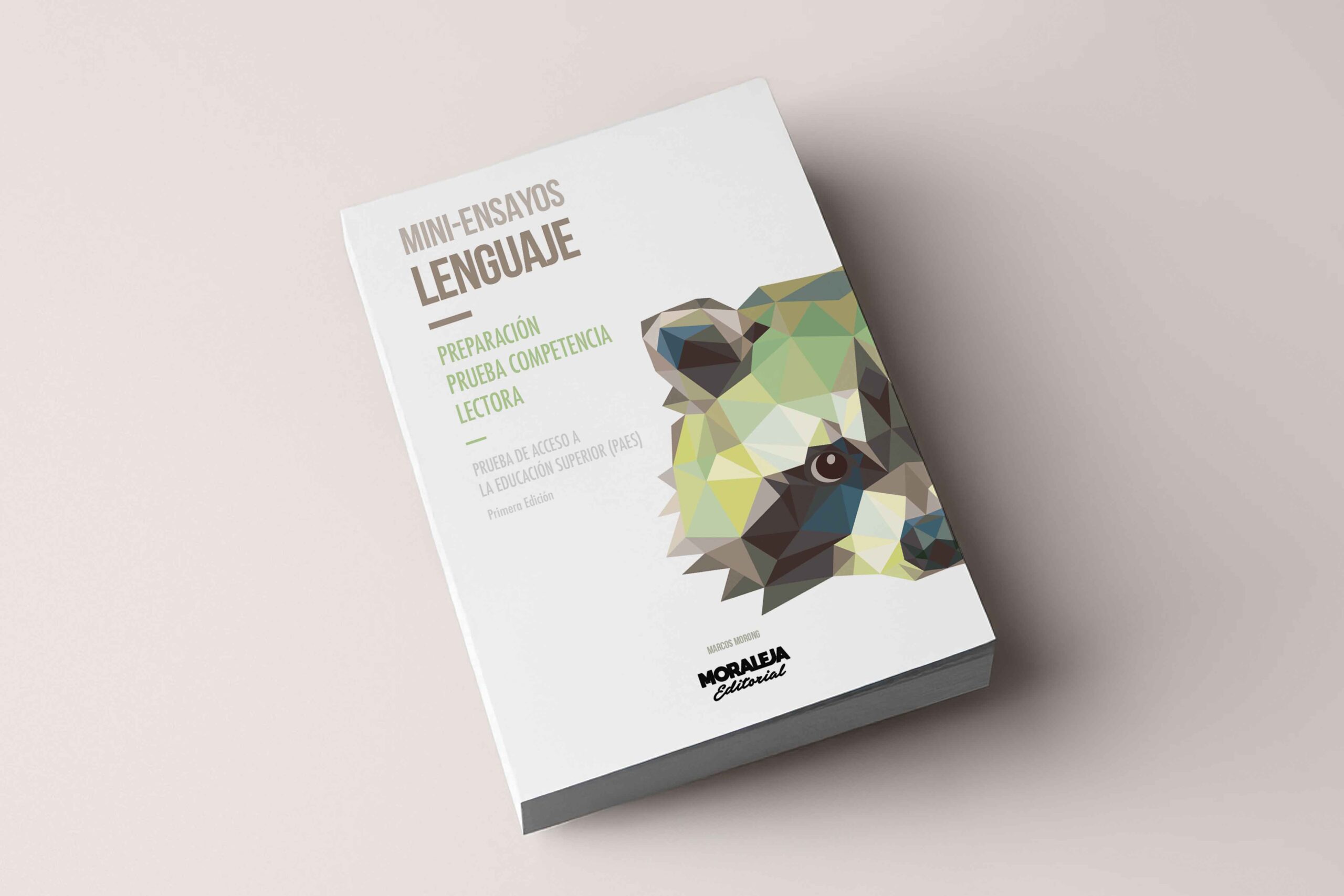 Mini-ensayos Lenguaje PAES - Imagen 2