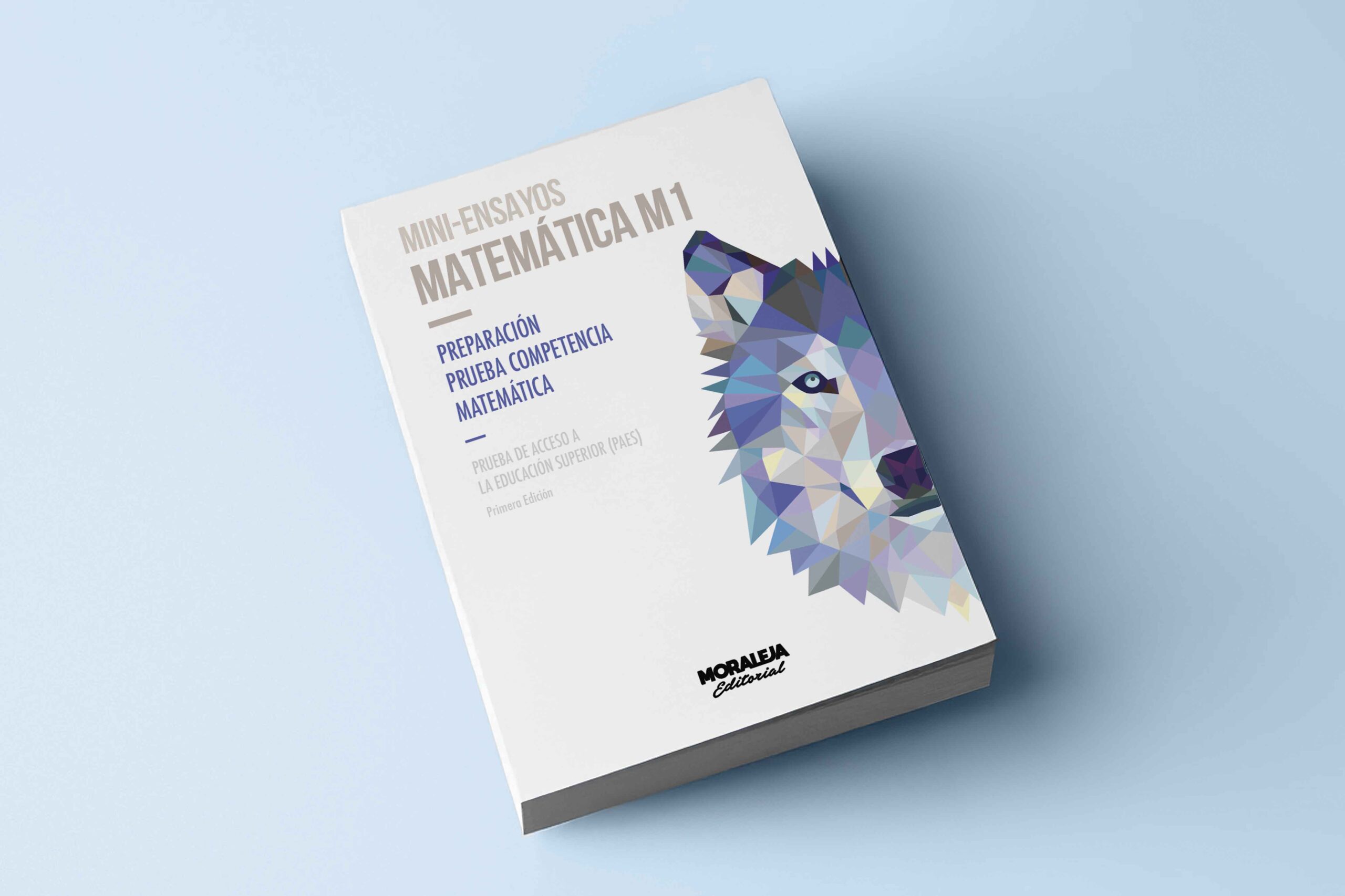 Mini-ensayos Matemática M1 PAES - Imagen 2