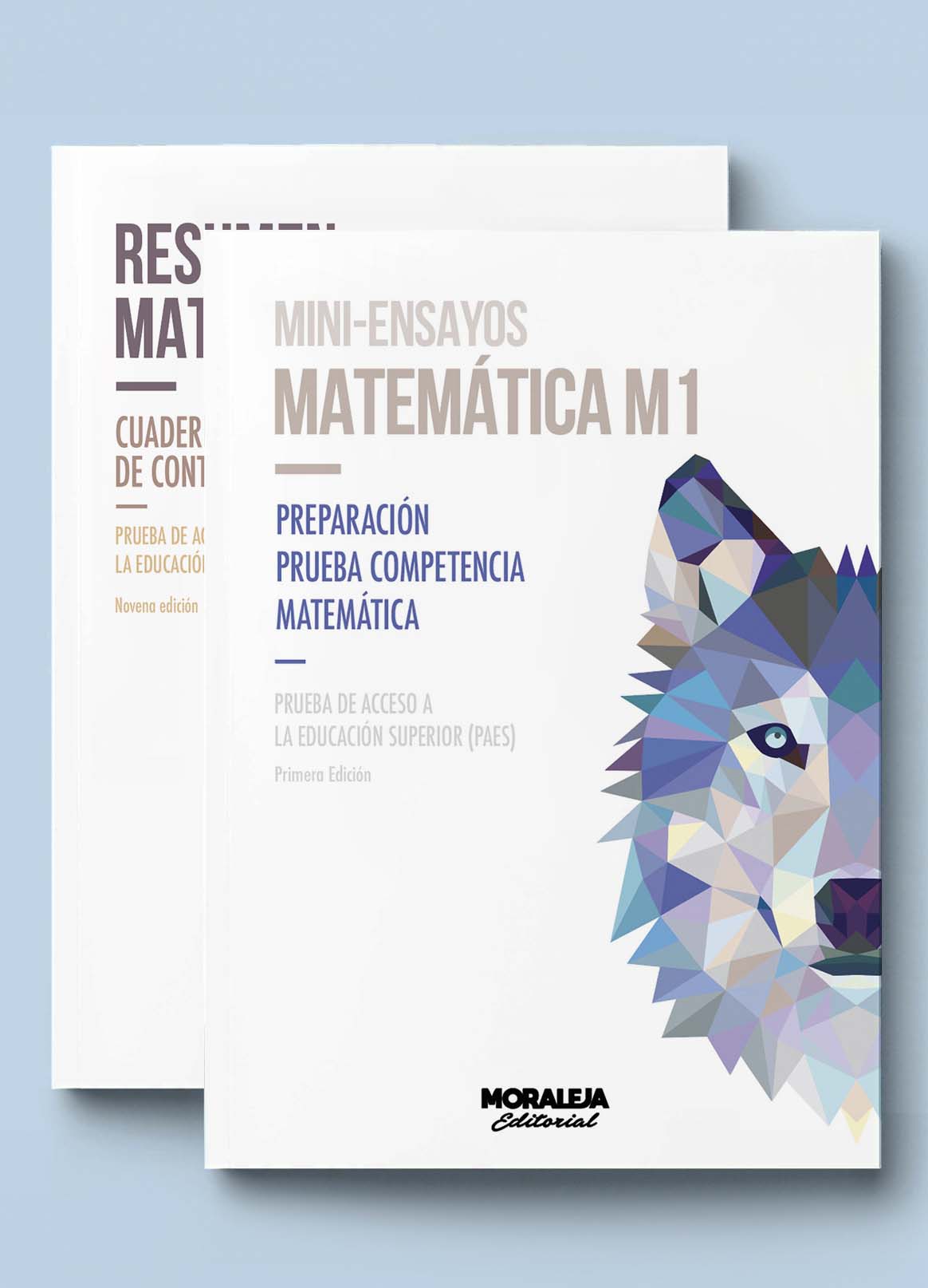 Pack Matemática: Resumen 9ª + Mini Matemática M1